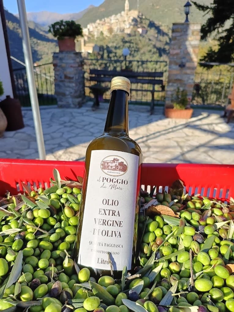 Olio d'oliva