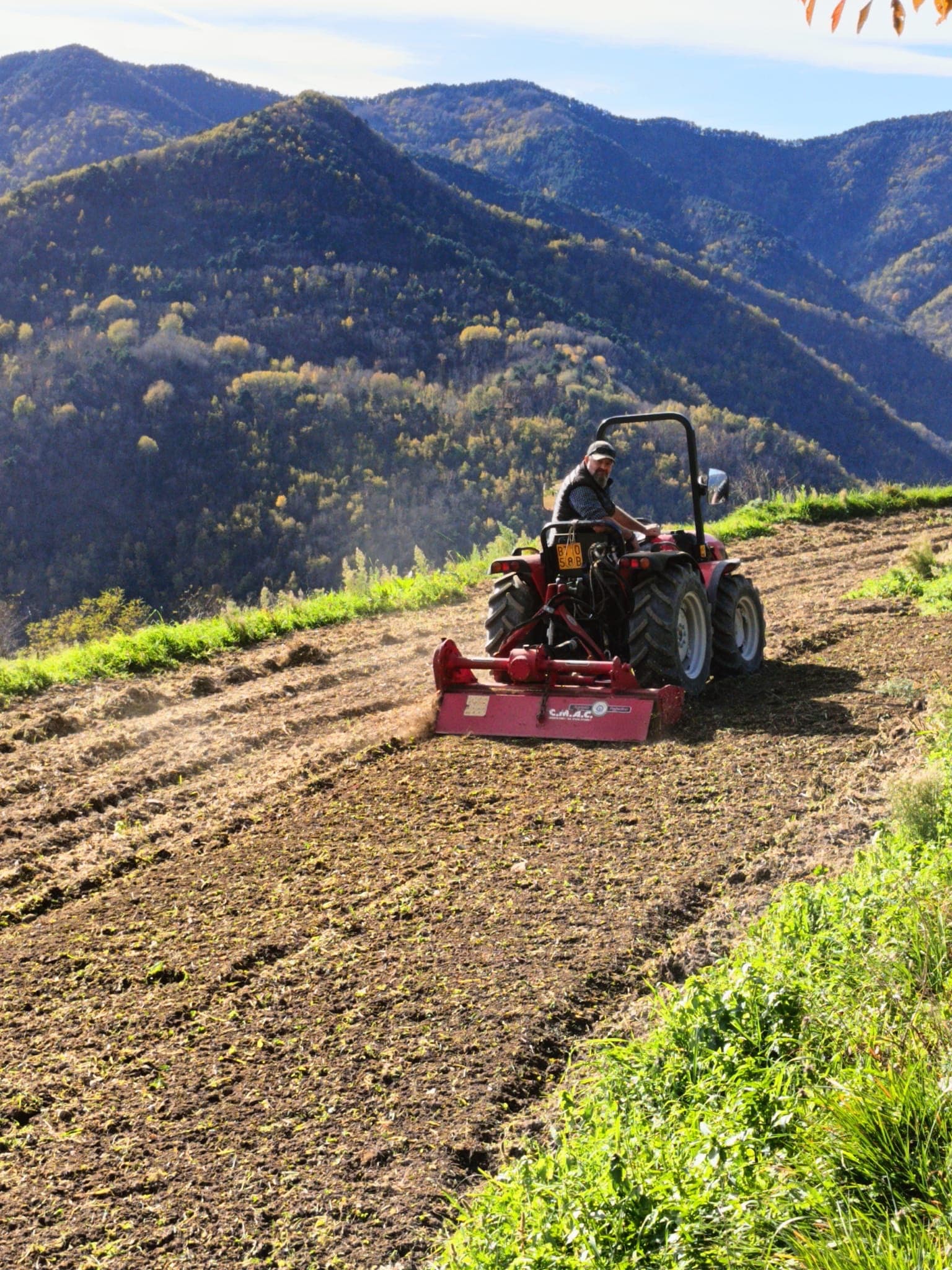 Mototrebbia